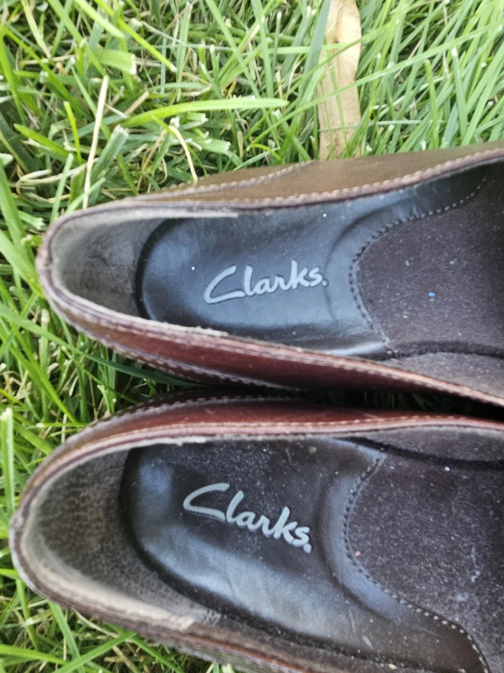 Clarks vintage blackberry